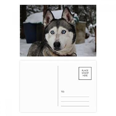 Imagem de Conjunto de cartão postal para fotografia Dog Animal Snow Husky Cartão de felicitações
