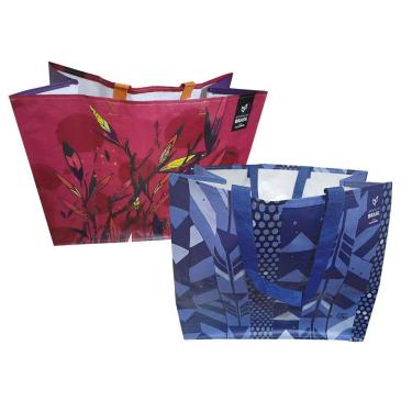 Imagem de 2 Sacolas Ráfia Retornável Grande 39x44x22cm Traços Anc. B4u