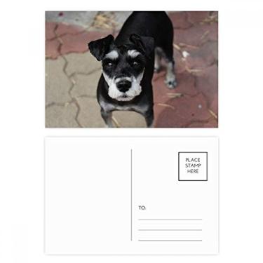 Imagem de Conjunto de cartão postal de aniversário para animais de estimação Black Dog Pet Animal