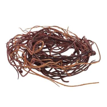 Imagem de DOITOOL Caixa barba banyan videira decorativa decoração de vidro lagartos animal trepadeira da selva de répteis trepadeiras da selva de répteis artificial vime tanque decorar