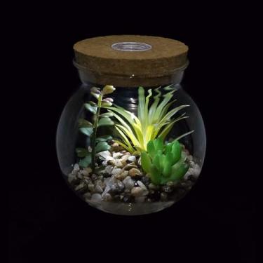 Imagem de Pratos De Suculetos Artificiais I Marimo Terrário Com Luz Led Branca Cortiça Desig Miiature Pratos Falsos Cacto Falso Em Vaso Bosai Idoor Decoração De Mesa Para Estudo D, Clear 1, 10.5cm*11.9cm(D*H)