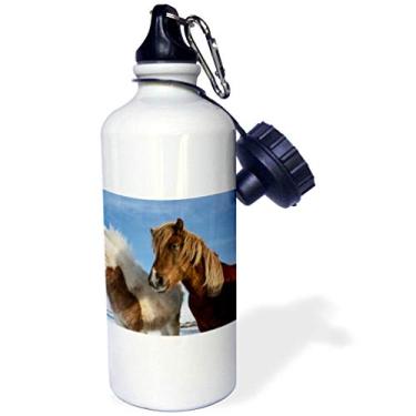 Imagem de 3dRose Garrafa de água esportiva de desenho animado com canudo da Islandic Horses, 600 ml, multicolorida