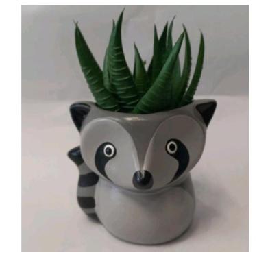 Imagem de Vaso de suculenta decorativo - Rose garden 