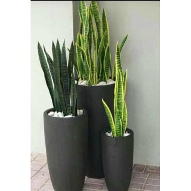 Imagem de Vaso cimento 65x40 cada - Cimento e fibra 