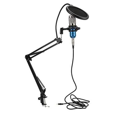 Imagem de RiToEasysports Kit Condensador Usb Microf de Som Profissional para Pc-computador Desktop Estúdios de Gravação de Streaming Corpo de Tubo Preto + Cabeça de Rede Prateada (azul+prata)