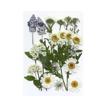 Imagem de Flores Naturais Prensadas E Secas Para Resina Epóxi, Arte Em Unhas DIY