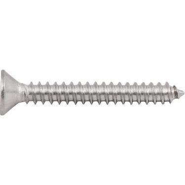 Imagem de Parafuso Autoatarraxante Inox 4,8x38,0mm Phillips Vonder