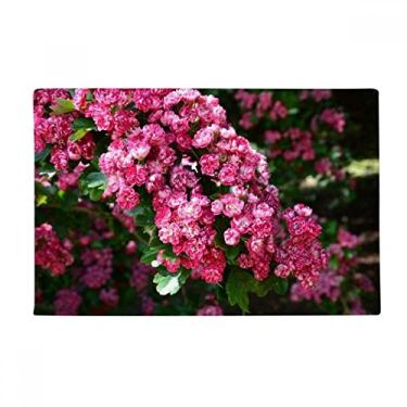 Imagem de DIYthinker Tapete de porta de banheiro com flores rosas lindas folhas verdes, tapete antiderrapante