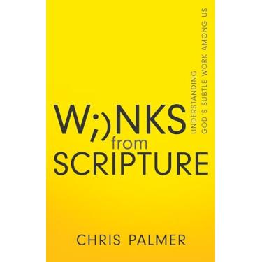 Imagem de Winks from Scripture: Understanding God's Subtle Work Among Us