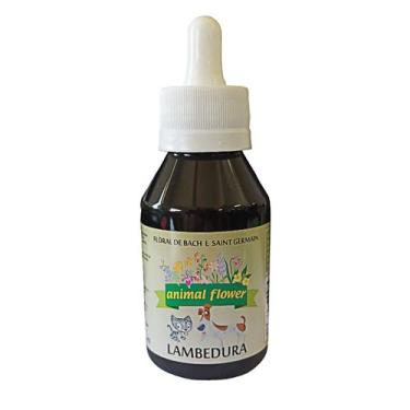 Imagem de Floral em Gotas Lambedura para Cães e Gatos - 100mL - Animal Flower