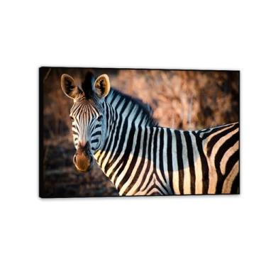Imagem de Imagens de animais em preto e branco para decoração de parede Zebra ao sol imagem natural africana impressão de imagem de cavalo pintura de parede zebra decoração de parede para sala de estar 60 x 40