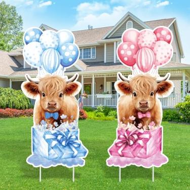 Imagem de Yoirrat Conjuntos De Placas Plástico Para Chá Bebê Com Estacas, Decoração Área Externa, Revelação Do Sexo Bebê, Azul, Rosa, Menino Ou Menina, Ele E Ela, Vaca, Gramado, Recém-Nascido, Bem-Vindo, Supr