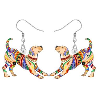 Imagem de DALANE Presentes fofos de acrílico para mãe de cachorro, brincos pendentes de labrador, inovação, design de arte popular, joias boêmias, presentes boêmios, presentes para mulheres, amantes de cães