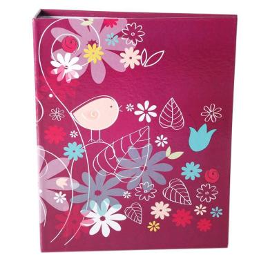 Imagem de Album 300 Fotos 10X15 Paint Rec - 100/09