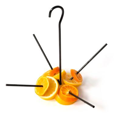 Imagem de Sekoso Alimentador de frutas suspenso para pássaros para atividades ao ar livre, jardim ou gaiola grande - Suporte de alimentos para forrageamento, preto