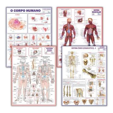 Imagem de Kit 4 Mapas Do Corpo Humano: Esquelético 1 + Esquelético 2 + Muscular 