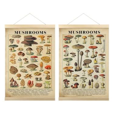Imagem de Pôster vintage de cogumelo com 2 peças de pôster rústico de fungo gráfico de referência ilustrativo, decoração de parede estilo retrô, impressões de pintura artística