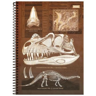 Imagem de Caderno Espiral Capa Dura Universitário Sauros 80 Folhas 1 Matéria Foroni Estampa 3