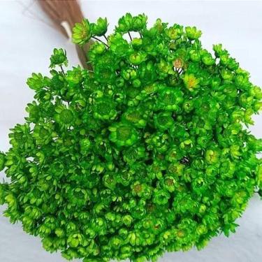 Imagem de Flores Sempre Vivas - COLORIDAS - 8000 unidades - VIVA FLORES, VERDE C