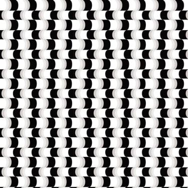 Imagem de Papel De Parede Abstrato Preto E Branco Autocolante Sala