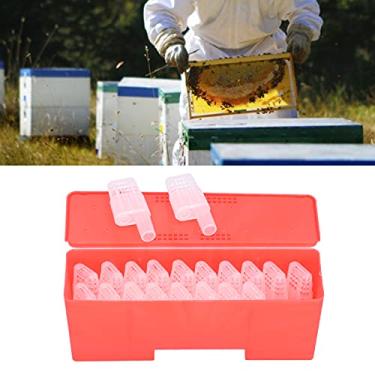 Imagem de 01 Gaiolas de Bee Queen, apanhador de apicultura com caixa de armazenamento para apicultores para Queen Bee
