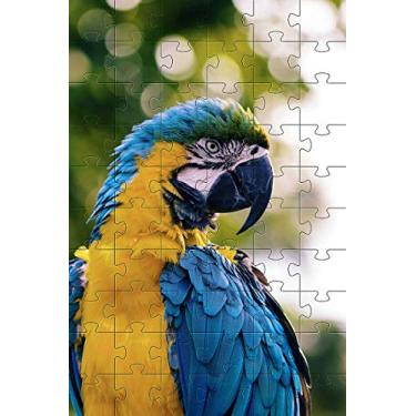 Imagem de Quebra-Cabeça 24 peças atividades para Idosos Peças grandes 4uni