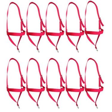 Imagem de 10 Cabrestos De Fita De Poli Para Vaca Alta Durabilidade - RT EMPÓRIO 