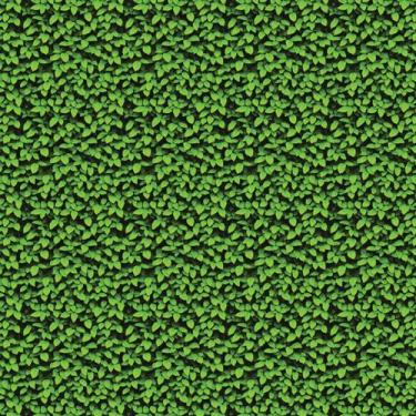 Imagem de Papel De Parede Adesivo Muro Inglês Grama Verde Plantas 10m - Criptoni