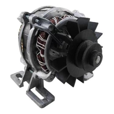 Imagem de Motor Tanquinho Libell Lave Mais Fioreta Suave Até 4kg 127v - ERMS
