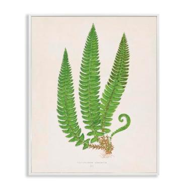 Imagem de Stupell Industries Arte giclée emoldurada branca trio ramo de samambaia natural, design por Phillipa Katz, 28 x 35 cm