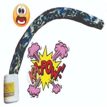 Imagem de Toca Pula Cobra Pote B+
