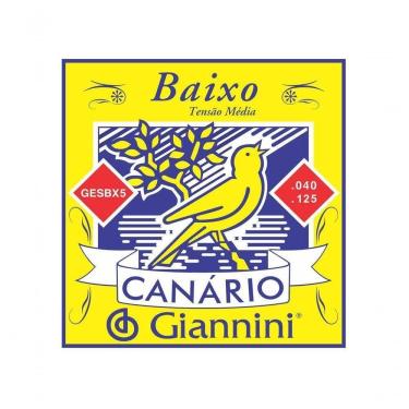 Imagem de Corda Para Contrabaixo Giannini Gesbx5 0.40-0.125 Super Leve