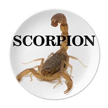 Imagem de Prato de rotina de insetos naturais Scorpion prato decorativo porcelana salver louça de jantar