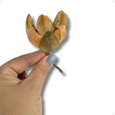 Imagem de Pacote Flor de Rosa Tefé Desidratado Natural 10 Unidades Decoração - F