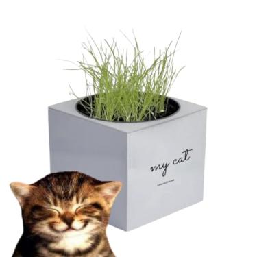 Imagem de Grama para gato Kit Graminha para gatos Vaso Autoirrigável Inteligente Grama Félix Kit Completo Evita bola de pêlos Brinquedo interativo para gato