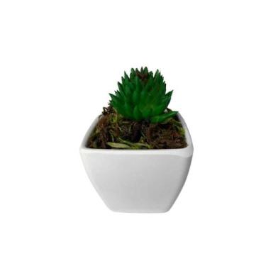 Imagem de Suculenta Artificial Mini Vaso de Plástico Branco - Melhores Ofertas, 
