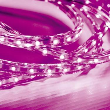 Imagem de Fita LED 5W - Alta Proteção - 20 metros - 60 LED/Metro - Taschibra, Ro