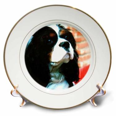 Imagem de 3dRose Cavalier King Charles Spaniels - prato de porcelana, 20 cm, 20 cm, branco