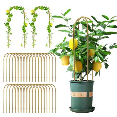 Imagem de HFYZZ 30 Peças de Suporte de Plantas de Bambu Em Forma de U Natural, Treliça de Bambu Em Forma de U de 16", Treliça de Planta Em Vaso Pequeno para Plantas Trepadeiras, Vegetais, Flores, Plantas Em Vas