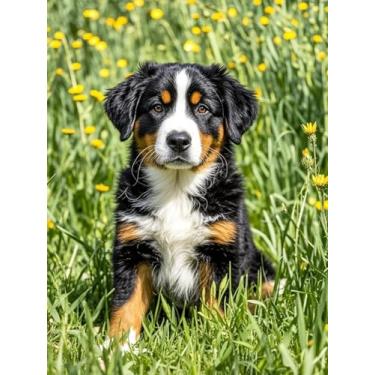 Imagem de YL Mainland Bernese Mountain Dog Diamond Painting Kits DIY 5D Diamond Art Full Round Drill Bead Rhinestone by Number Stitch Artes e artesanato feito à mão para sala de estar, quarto, decoração de