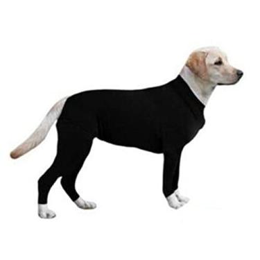 Imagem de Casaco De Cachorro Camaco De Cachorro Jaqueta Leve Pullover Pet Cão Roupas De Cachorro Médio E Grande Camisa De Fundo De Cachorro Outono E Inverno Roupas Novas Roupas De Cachorro Roupas De