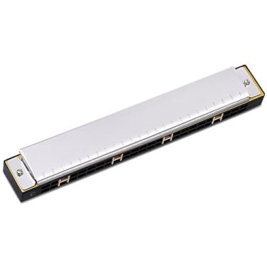 Imagem de Gaita profissional gaita 24 furos polifônica C Tune instrumento adulto para iniciantes (prata)