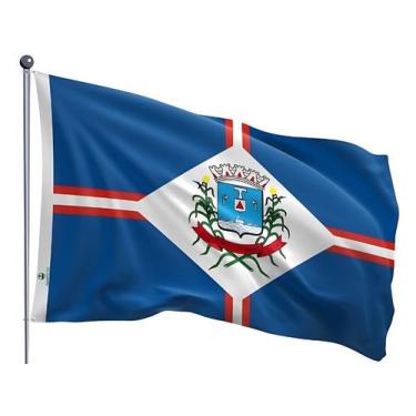 Imagem de Bandeira do Município de Patos de Minas Dupla Face Estampada Tamanho 9