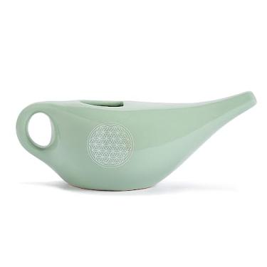 Imagem de YOGATERIA Higienizador Limpeza Nasal | Neti Pot Jala Neti | Lavagem Nasal p/Adultos e Crianças | Descongestionante 100% natural 250ml (Verde menta)