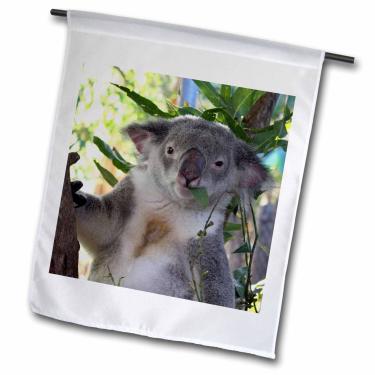 Imagem de 3dRose fl_22800_1 Bandeira de jardim fofa de coala comendo eucalipto Queensland Austrália, 30 x 45 cm