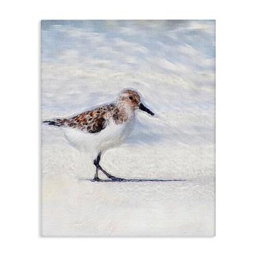 Imagem de Stupell Industries Pintura Blue Coast Sandpiper Canvas Wall Art Design por Denise Brown, 61 x 76 cm