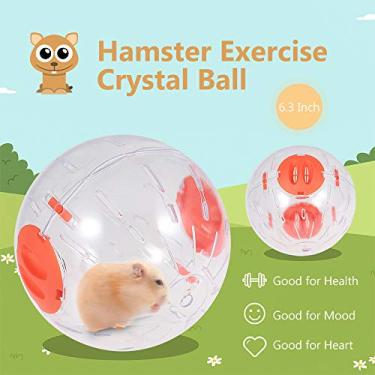 Imagem de Exercício de Hamster Correndo Cristal Claro para Hamsters Camundongos Pequenos Pets Brincadeira Interativa Tempo Manejo Fácil Brinquedo
