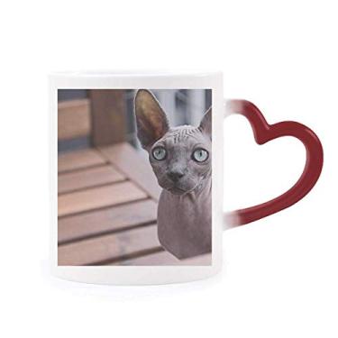 Imagem de Caneca sensível ao calor com foto de gato de orelha grande animal, copo de grés que muda de cor vermelha