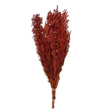 Imagem de Buquê Capim Licopodium Cores Desidratado Arranjo Decoração - INSPIRA F