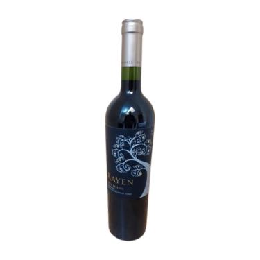 Imagem de Vinho Rayen Gran Reserva Cabernet Sauvignon 750 ml